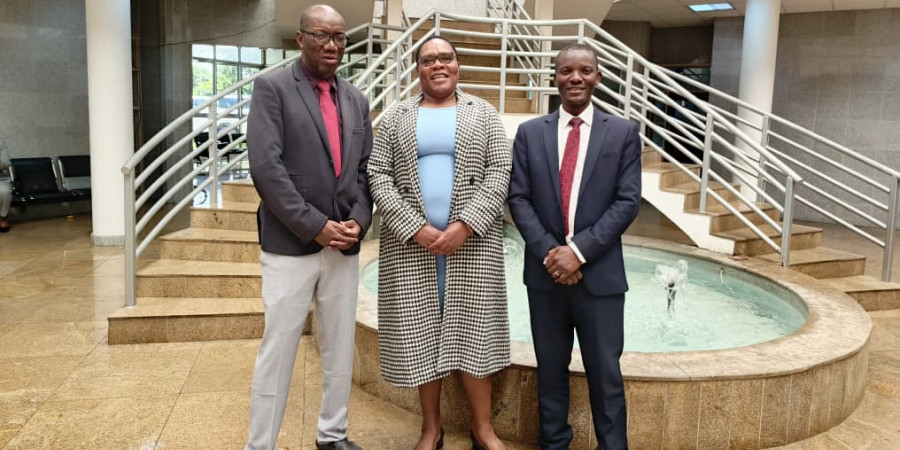 IoDZ Makes Oral Submission To Parliamentary Committee On Parastatal Bodies