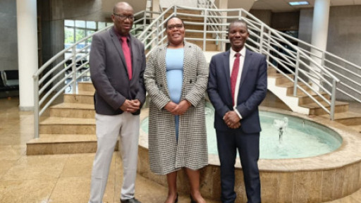 IoDZ Makes Oral Submission To Parliamentary Committee On Parastatal Bodies